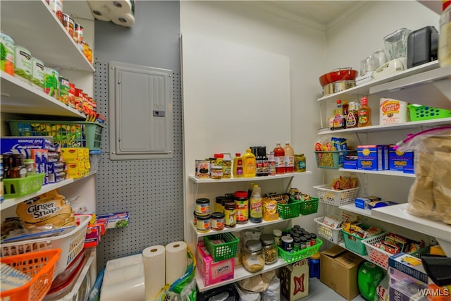 pantry featuring electric panel