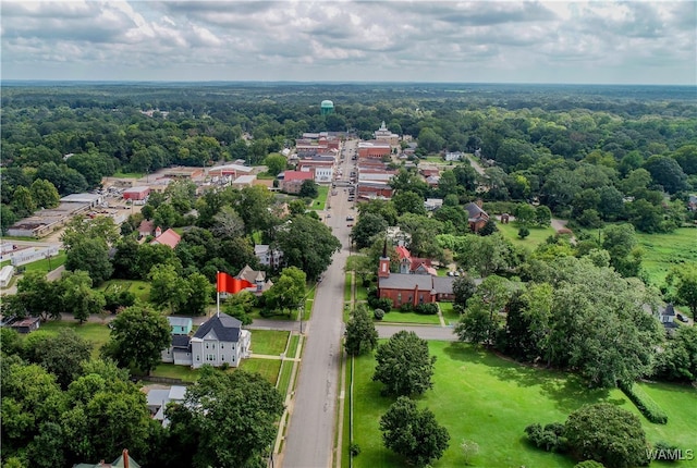 bird's eye view