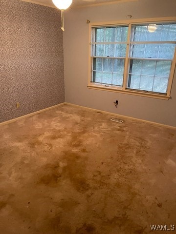 carpeted spare room with a wealth of natural light