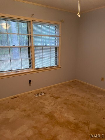 spare room featuring carpet floors and ornamental molding