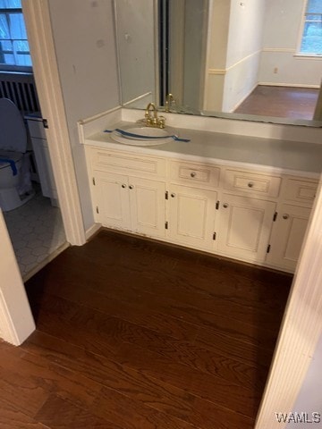 bathroom with hardwood / wood-style floors and vanity