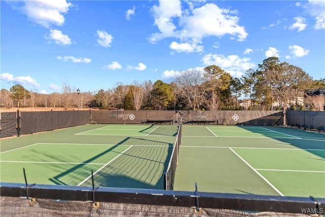 863 Carleton St, Tuscaloosa, AL 35406 - photo 45