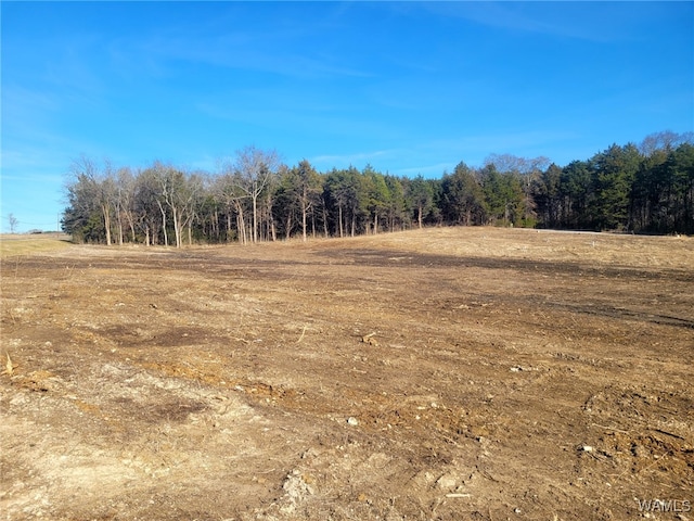 Listing photo 2 for LOT33 Country Club Rd, Livingston AL 35470