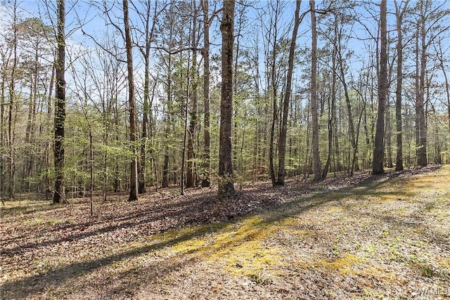 view of nature with a view of trees