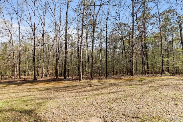 view of yard with a view of trees