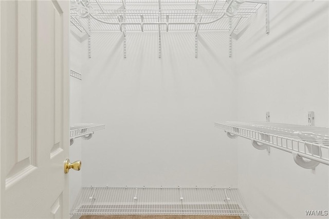 view of walk in closet