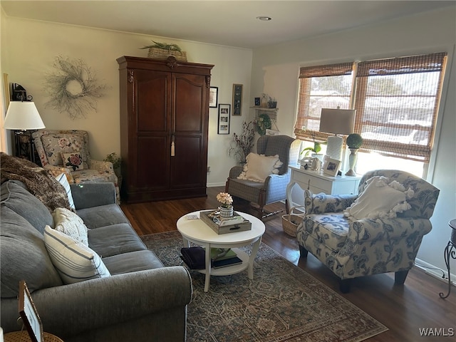 living room featuring dark wood-type flooring