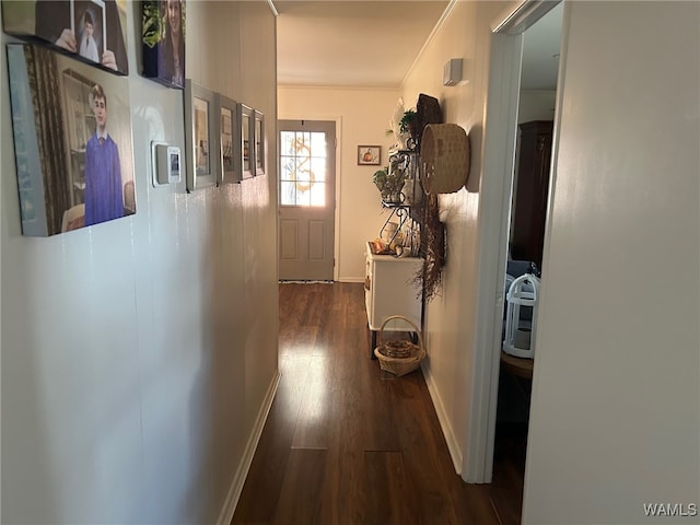 hall with dark hardwood / wood-style floors and ornamental molding