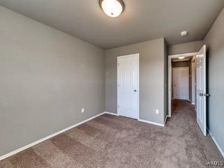 unfurnished bedroom with carpet floors