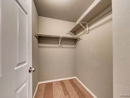 walk in closet with carpet