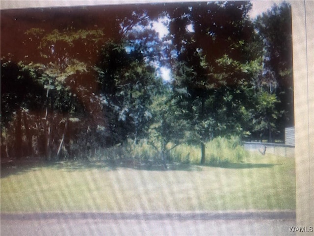 5118 Azalea Trl, Northport, AL 35473
