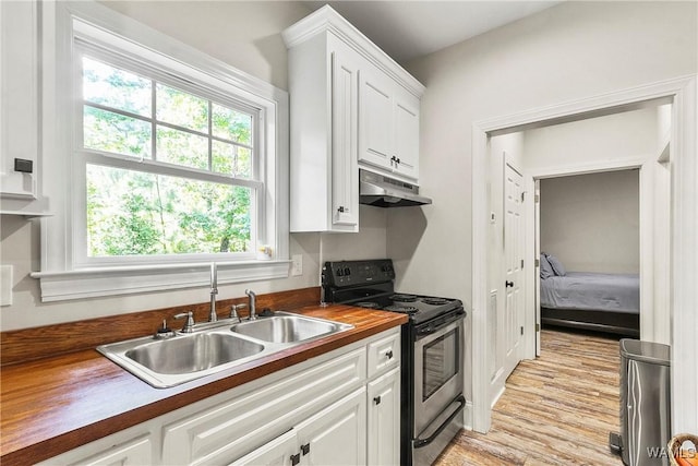 10649 Legacy Point Dr, Northport, AL 35475 - kitchen featuring stainless steel electric stove, under cabinet range hood, healthy amount of natural light, and white cabinets