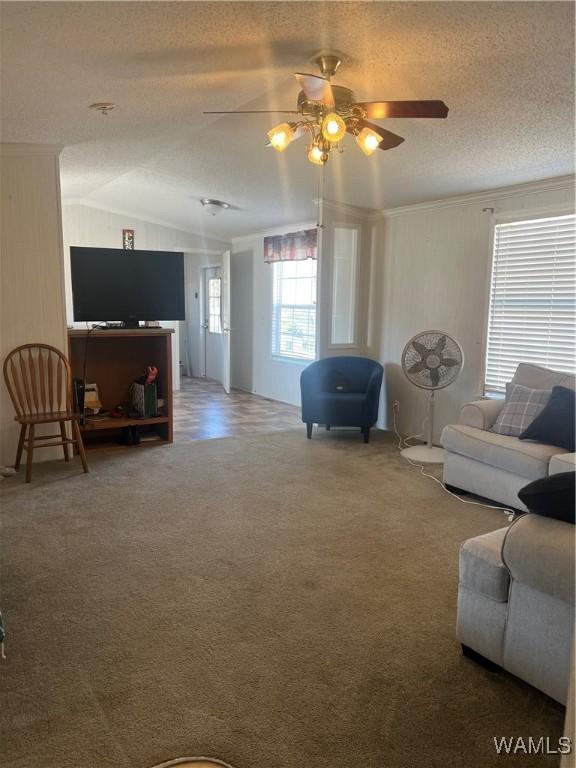 12443 Reed Simpson Rd, Northport, AL 35475 - carpeted living room with a ceiling fan, vaulted ceiling, a textured ceiling, and crown molding