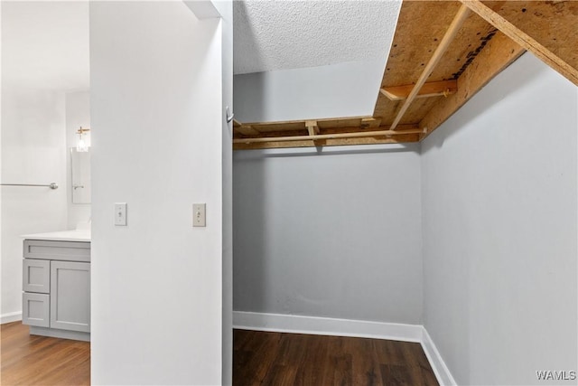 walk in closet featuring wood finished floors