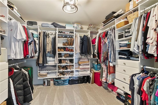 2757 Lily Cir, Northport, AL 35473 - spacious closet featuring carpet floors