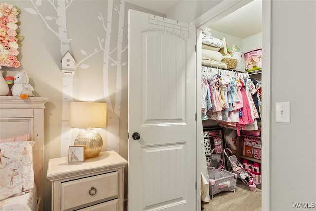 2757 Lily Cir, Northport, AL 35473 - view of closet