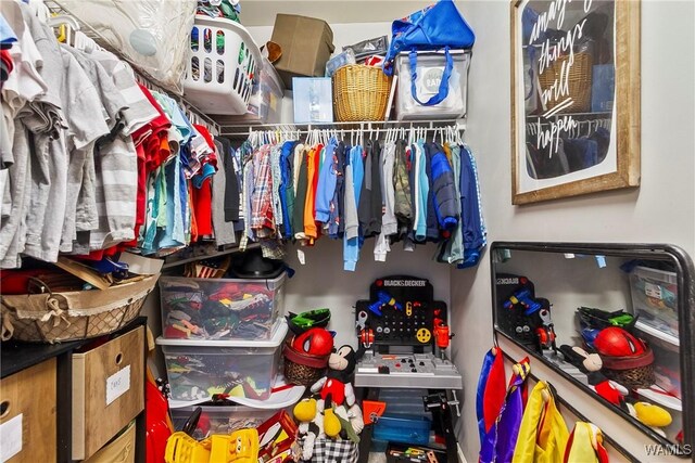 2757 Lily Cir, Northport, AL 35473 - view of walk in closet