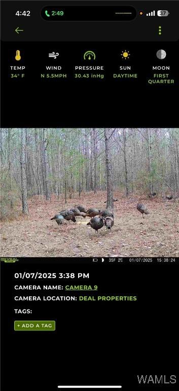 0 Snake Branch Rd, Kennedy, AL 35574 - photo 8