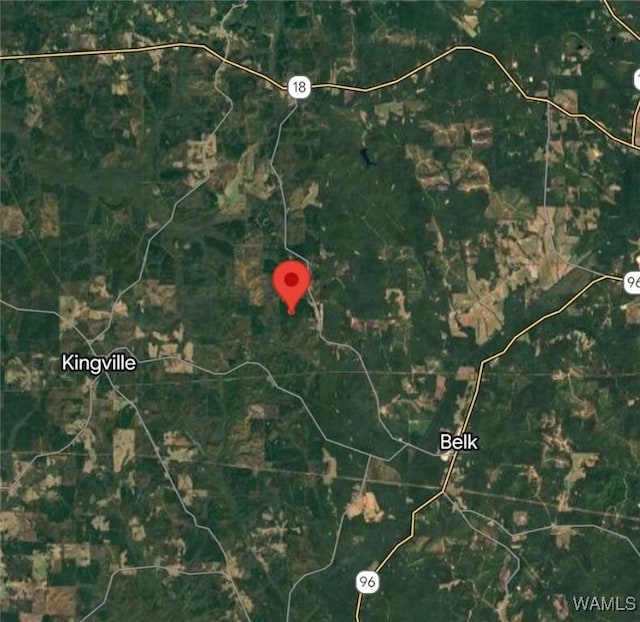 0 Snake Branch Rd, Kennedy, AL 35574 - photo 4