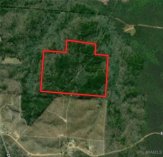 0 Snake Branch Rd, Kennedy, AL 35574 - photo 3
