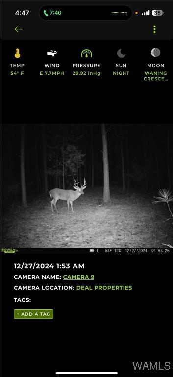 0 Snake Branch Rd, Kennedy, AL 35574 - photo 7