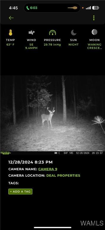0 Snake Branch Rd, Kennedy, AL 35574 - photo 6