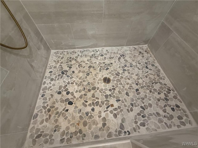407 Edgefield Mews Cir, Tuscaloosa, AL 35406 - bathroom view of tiled shower