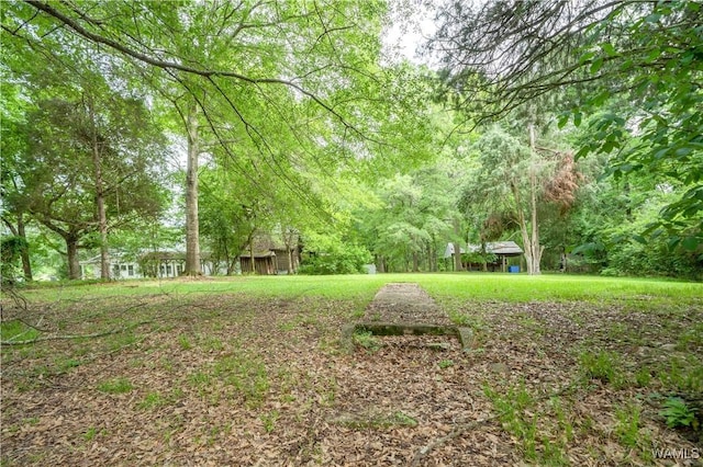 221 3rd Ct SW, Fayette, AL 35555 - view of yard