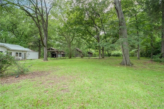221 3rd Ct SW, Fayette, AL 35555 - view of grassy yard