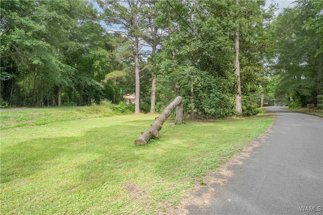 221 3rd Ct SW, Fayette, AL 35555 - view of green lawn