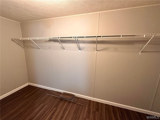 walk in closet featuring dark hardwood / wood-style floors