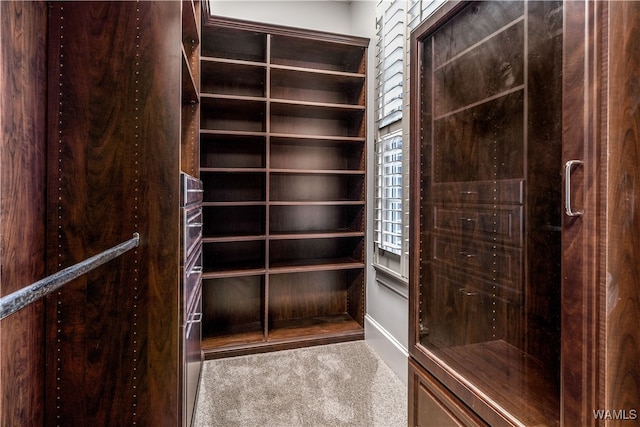 spacious closet featuring carpet flooring