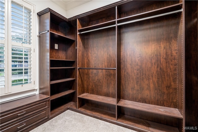 walk in closet with dark colored carpet