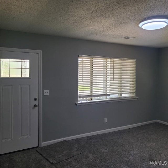 entryway with carpet, a textured ceiling, and plenty of natural light