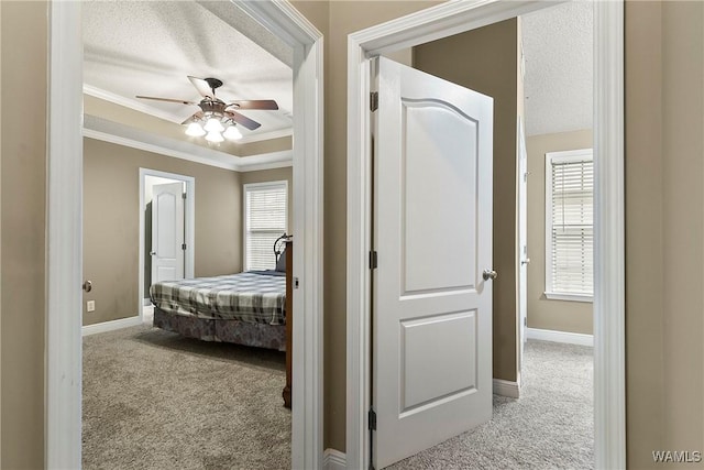 hallway featuring crown molding, baseboards, carpet floors, and a textured ceiling