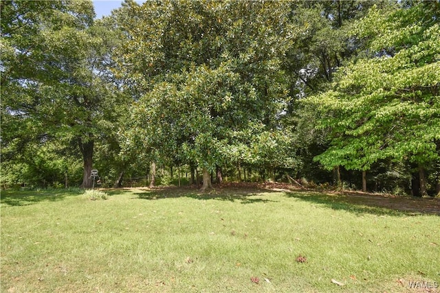 14086 Phares Hinton Rd, Tuscaloosa, AL 35405 - photo 14