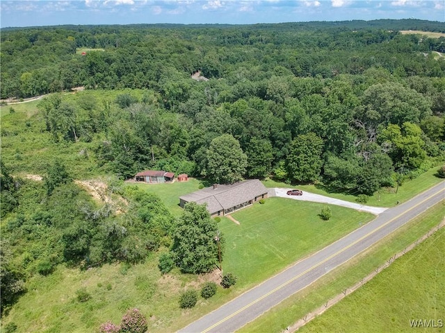 14086 Phares Hinton Rd, Tuscaloosa, AL 35405 - photo 4