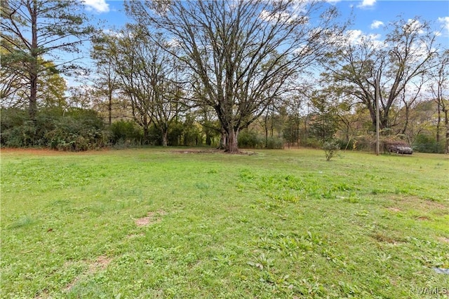 14628 Vienna Rd, Coker, AL 35452 - photo 17