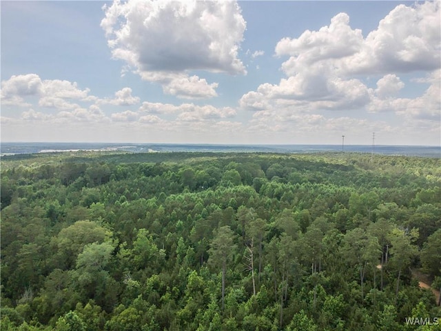 0 Hopewell Rd, Vance, AL 35490 - photo 7