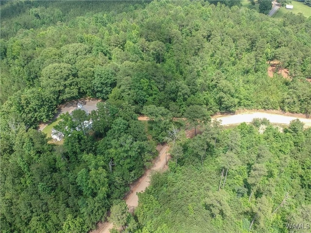 0 Hopewell Rd, Vance, AL 35490 - photo 5