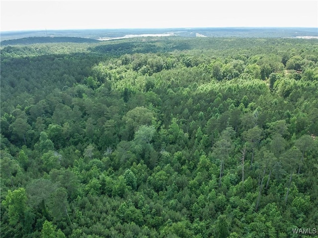 0 Hopewell Rd, Vance, AL 35490 - photo 1
