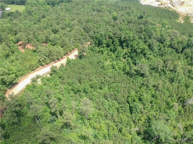 0 Hopewell Rd, Vance, AL 35490 - photo 4