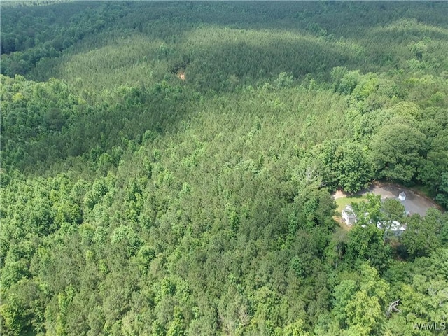 0 Hopewell Rd, Vance, AL 35490 - photo 3