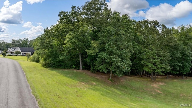 LOT7 Ridgefield Dr, Gordo, AL 35466 - photo 6