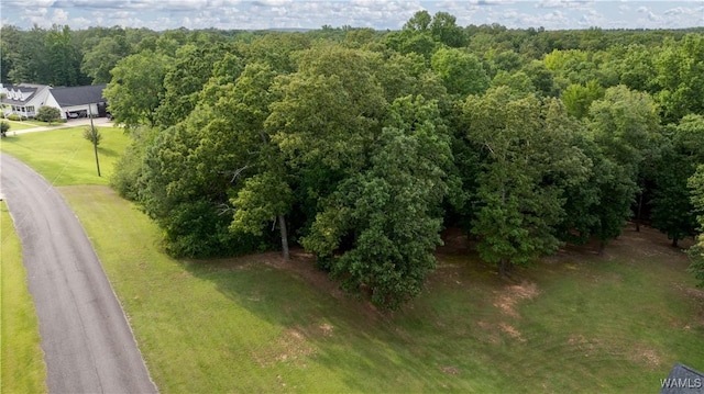 LOT7 Ridgefield Dr, Gordo, AL 35466 - photo 7