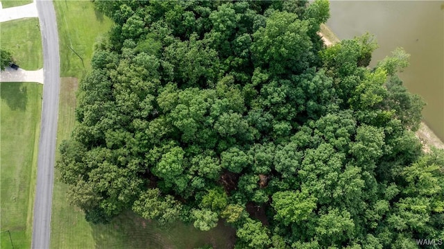 LOT7 Ridgefield Dr, Gordo, AL 35466 - photo 8