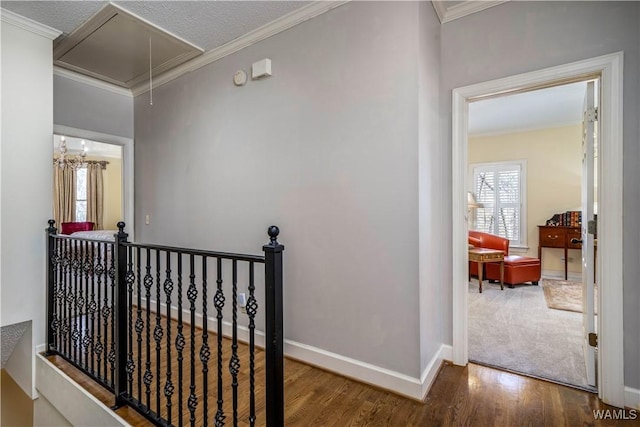 hallway featuring attic access and ornamental molding