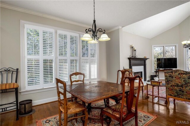 dining room featuring a fireplace, plenty of natural light, wood finished floors, and a chandelier