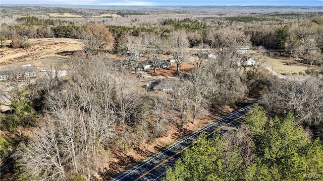 bird's eye view