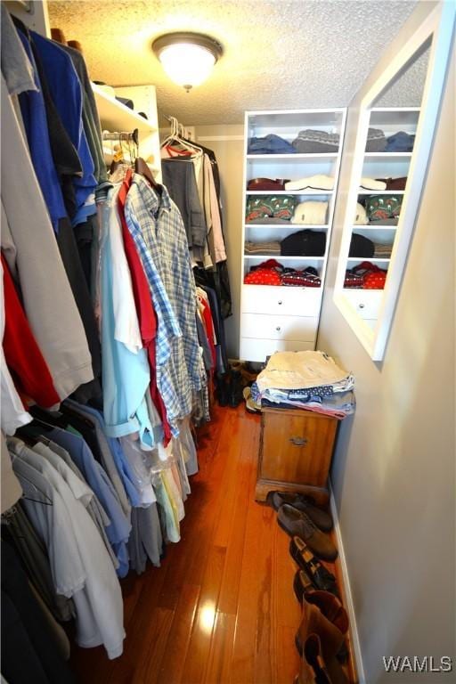 spacious closet with hardwood / wood-style floors